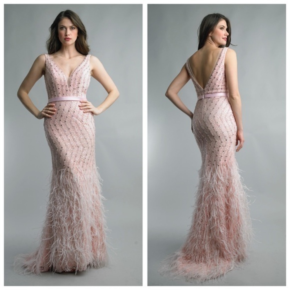 BASIX BLACK LABEL D1472L FEATHER EMBELLISHED PLUNGE V NECK GOWN Size 10